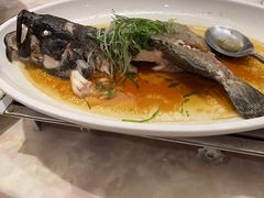 -沪华海鲜大酒楼(南汇店)