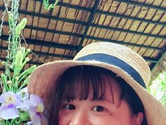 -莓园冰淇淋店