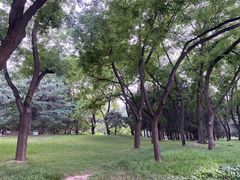 -元大都城垣遗址公园