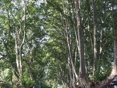 -T80科技文化国际社区-停车场