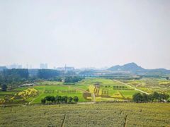 -光明小镇欢乐田园