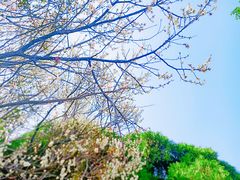 -西昌邛海宾馆