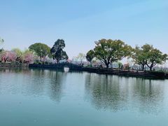 -无锡蠡湖国家湿地公园-蠡园