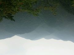 -四明山国家森林公园