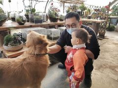 -包头市畅兴现代农业园