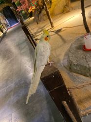 -酷嗒动物文化乐园(cutezoo西溪乐天城店)