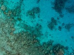 -Tiffany & Co.蒂芙尼
(广州太古汇店)