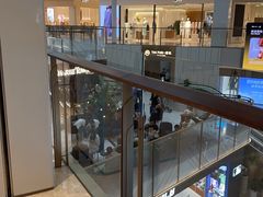 -CHARLIETOWN红茶公司(南京万象天地店)