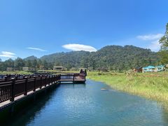 -海南热带雨林国家公园吊罗山景区