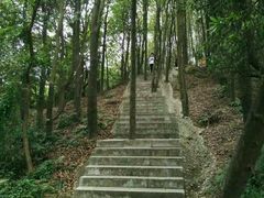 -阳台山森林公园