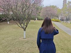 -广州莲花山旅游区