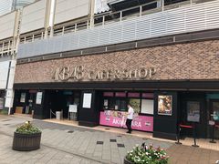 -秋叶原电器街