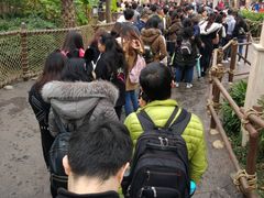 -迪士尼火鸡腿