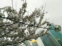 -喷泉公园