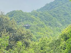 -杭州半山国家森林公园