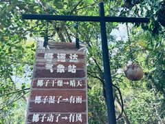 -呀诺达热带雨林