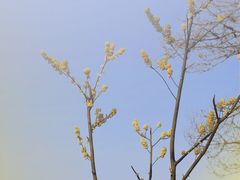 -大罗山风景区