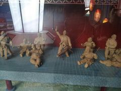 -陕西自然博物馆