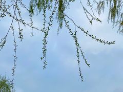 -郑州植物园
