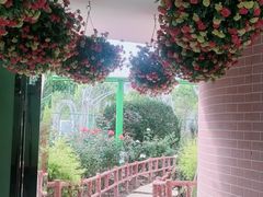-百万葵园