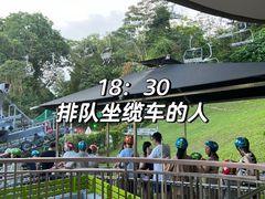 -圣淘沙天际线斜坡滑车