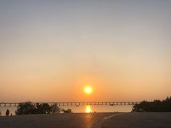 -宝安西湾红树林湿地公园