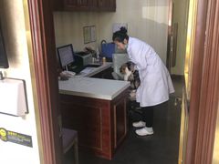 -宠爱国际动物医院· 猫科· 外科·中兽医(长白店)