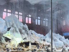 -帝企鹅自助餐厅•儿童岛•真企鹅(长隆企鹅酒店)