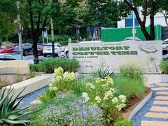 -翠贝卡&Mama Kelly Brunch Coffee(河西店)