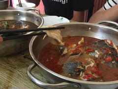 -风鑫铃罗非鱼(道沟店)