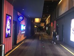 -万达影城(闵行颛桥万达广场杜比影院店)