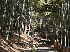 -敬亭山风景名胜区