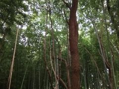 -苏州河梦清园环保主题公园