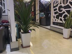 -绿树电竞(五路店)