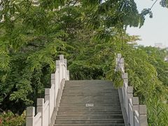 -四海公园(南山区)
