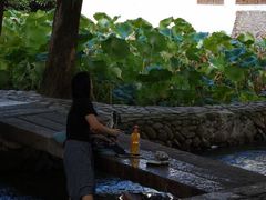 -楠溪江风景名胜区