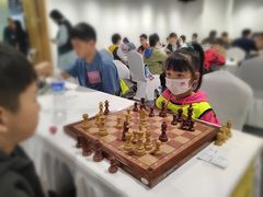 -常青藤国际象棋(新奥店)