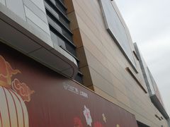 -上海颛桥万达广场