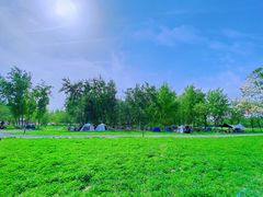 -汉长安城未央宫国家考古遗址公园