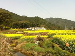 -婺源月亮湾