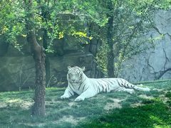 -北京野生动物园
