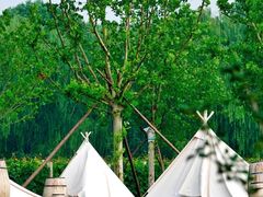 -安德鲁户外烧烤帐篷营地(马泉营店)