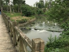 -白鹭湾湿地公园