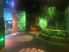 -沈阳海洋探索中心