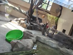 -宁波野生动物园