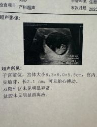 -北京新世纪妇幼医院·产检·分娩·计生(望京院区)