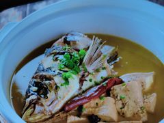 大锅炖鱼头-鸽子窝(青塔店)