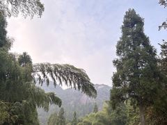 -玉苍山国家森林公园