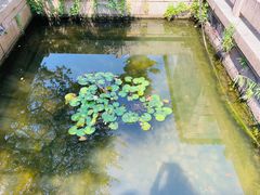-宁波茶文化博物院