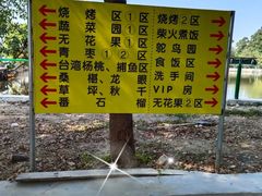 -新塘水果乐园(东洲大道店)